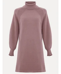 Phase Eight Women's Ellie Jumper Dress