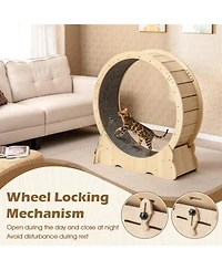 Hongge Cat Exercise Wheel with Carpeted Running Surface, 40 Inch