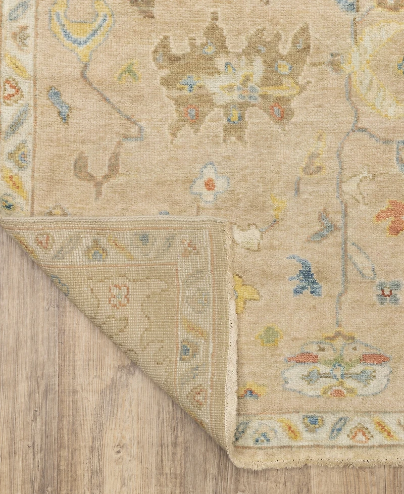 Oriental Weavers Palace 10310 2'x3' Area Rug