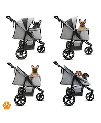 My Duque: Cooper Pet 3-Wheeler
