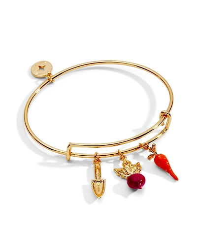 Alex and Ani Farmers' Market Multi Charm Bangle