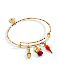 Alex and Ani Farmers' Market Multi Charm Bangle