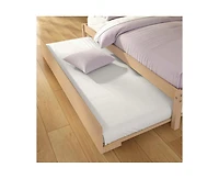 Grain & Grove Bear Plywood Twin/Full Bunk with Trundle