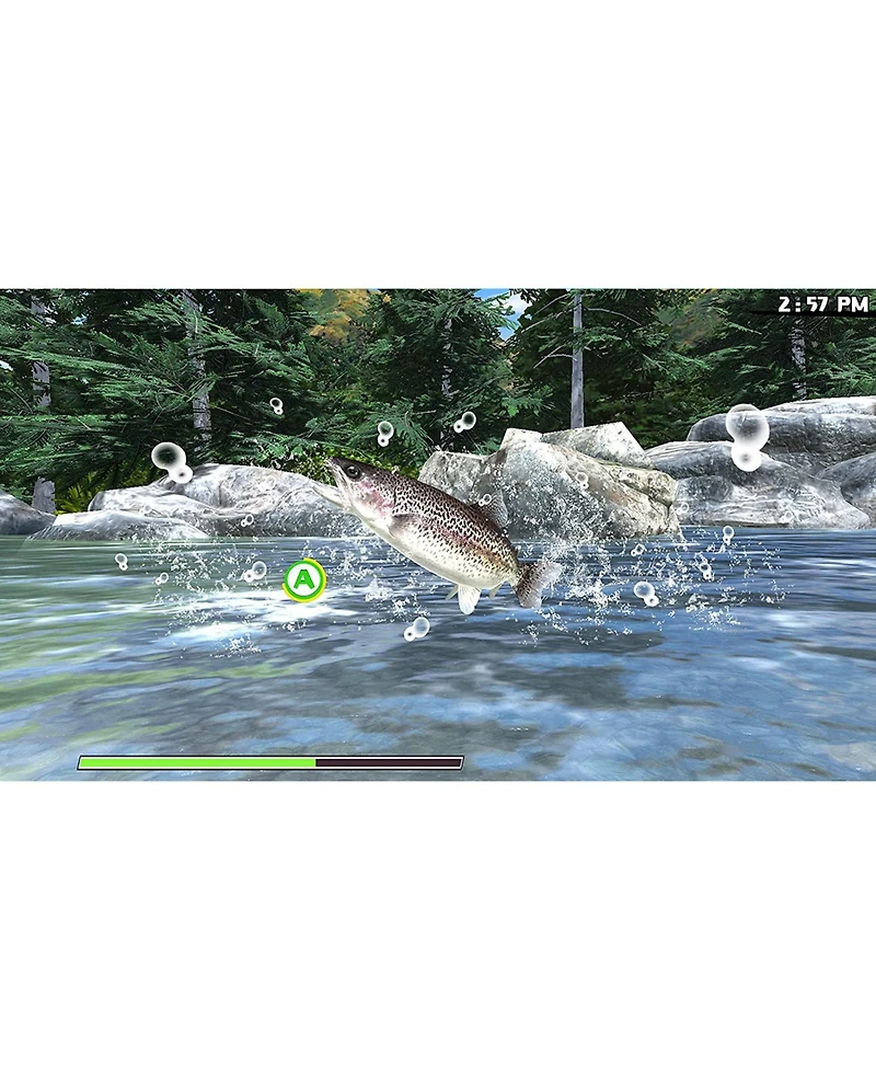 Reel Fishing: Road Trip Adventure