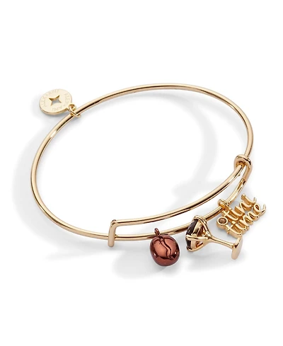 Alex and Ani Espresso Martini Multi Charm Bangle