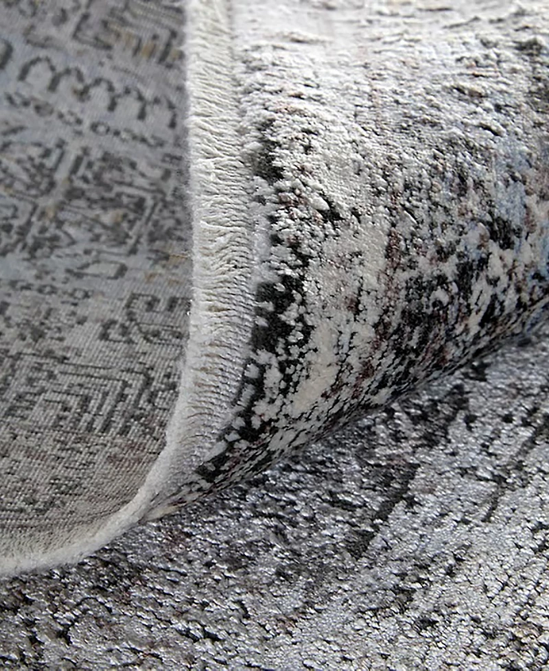Feizy Sarrant 3966F 2'x3' Area Rug