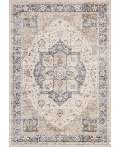 Mink Home Homewell Machine Washable HAM4005 9'x12' Area Rug