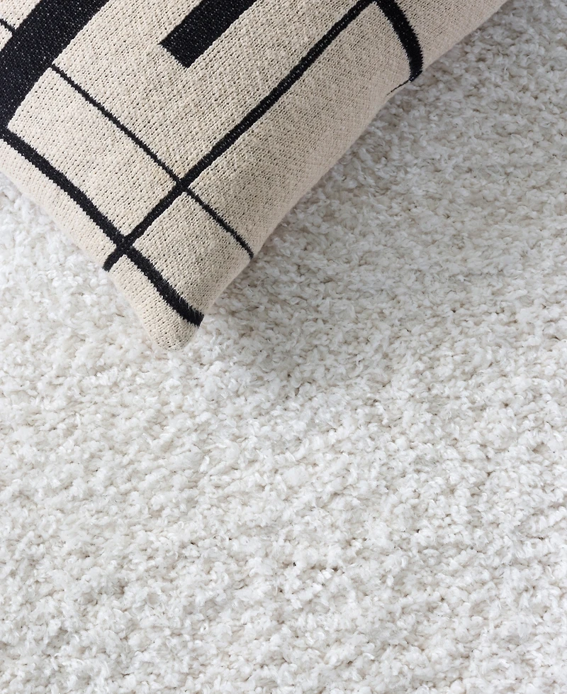 Safavieh Seattle Shag STE912A 5'3"x7'6" Area Rug