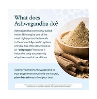Youtheory Ashwagandha Liquid Blueberry 600 mg 12 Pouches