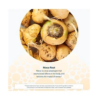 Youtheory Women's Maca Root