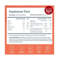 Youtheory Muscle Guard Protein Glp 1 Support Whey Protein Powder Supplement for Glp 1 Users Supports Muscle and Bone 20.5 Ounce Powder