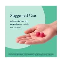Youtheory Zero Sugar Irish Sea Moss Gummy 60 Count