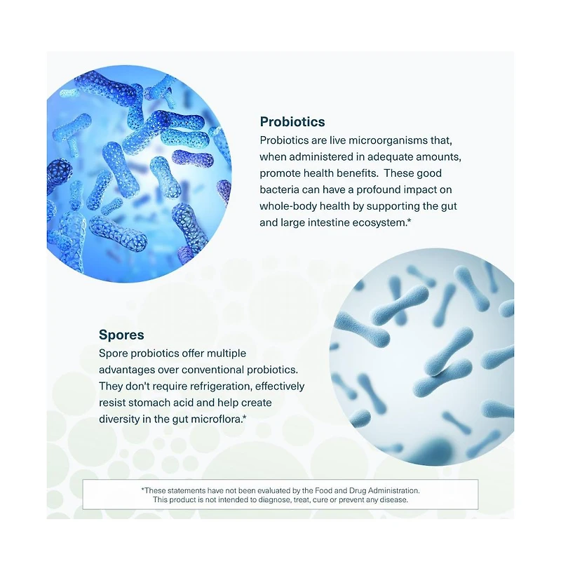 Youtheory Spore Probiotic Helps Gut Health 6 Billion Cfu with Prebiotics Shelf Stable 60 Vegetarian Capsules 30 Day Supply