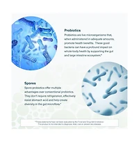 Youtheory Spore Probiotic Helps Gut Health 6 Billion Cfu with Prebiotics Shelf Stable 60 Vegetarian Capsules 30 Day Supply
