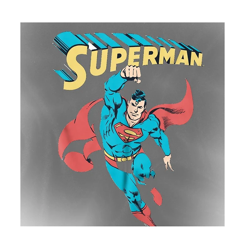 Superman Men's Superhero T-Shirt