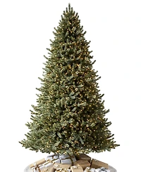 Balsam Hill 9' Pre-Lit Vermont White Spruce Ledc Artificial Christmas Tree