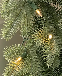 Balsam Hill 120" Bh Fraser Fir Christmas Garland