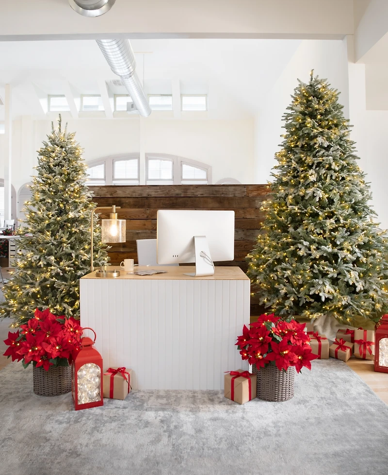 Balsam Hill Frosted Fir 7.5' Tree