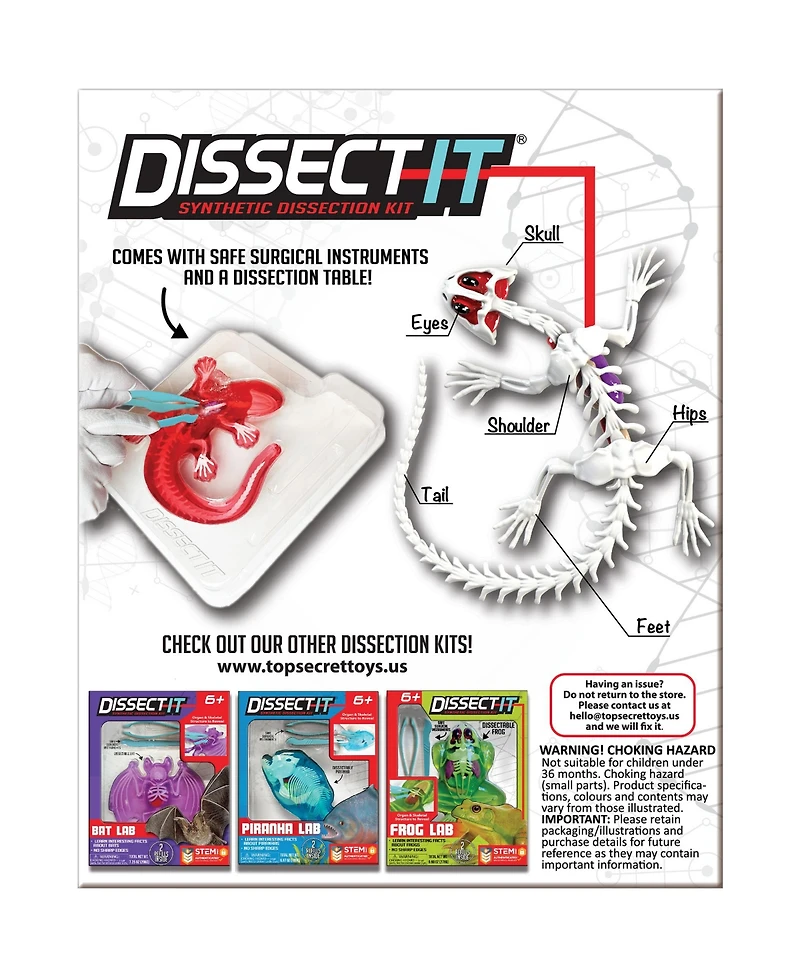 Dissect-It Salamander Anatomy Lab Toy, Ages 6+