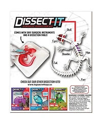 Dissect-It Salamander Anatomy Lab Toy, Ages 6+