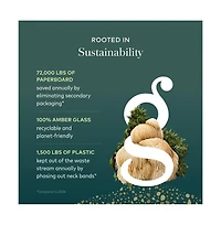 Gaia Herbs Organic Lion's Mane Mushroom - Brain and Nerve Support Supplement to Help Maintain Neurological Health