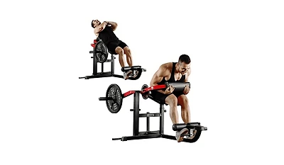 Syedee Seated Ab Curl/ Back Extension Machine, Plate Loaded Machine with 450lbs Weight Capacity, Home Gym for Core and Back Training