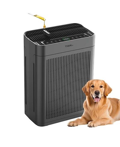 Air Purifiers, Large Room Up to 3000 Sq Ft,with Washable Filters, H13 Hepa, Dual-Sided Air Intake