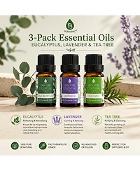 3 pack of 100% Pure Essential Oils (Eucalyptus, Lavender & Tea Tree)
