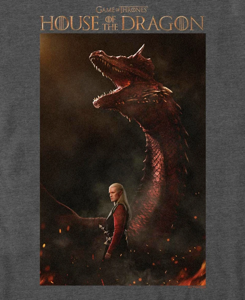 Fifth Sun Men's House of the Dragon Daemon Poster Graphic T-Shirt