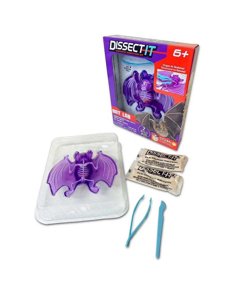 Dissect-It Bat Lab Realistic Dissection Kit, Ages 6+