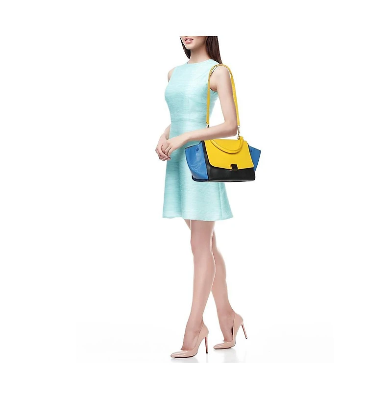 Pre-Owned Celine Women's Satchel bag