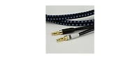 Svs SoundPath Ultra Oxygen-Free Copper Speaker Cable with Banana Connectors, 10 ft.