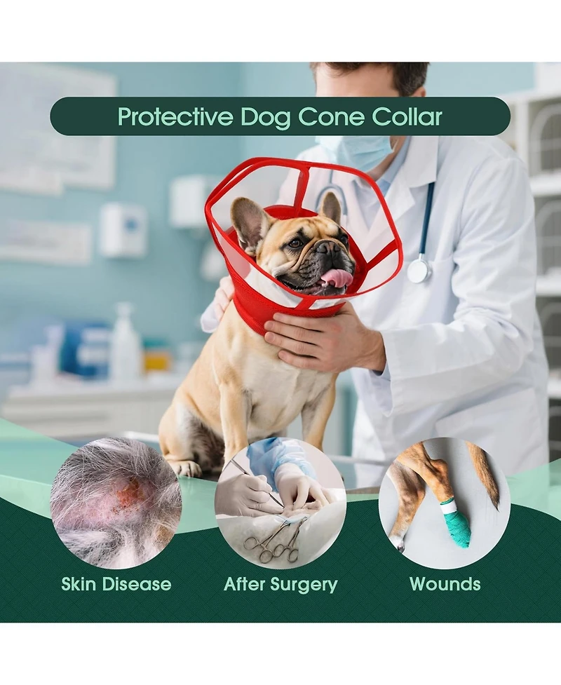 Soft Double-Layer Mesh and Transparent Pvc Recovery Cone Collar for Dogs