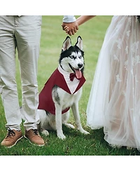 Formal Tuxedo and Bandana Two-Piece Set with Detachable Bowtie Collar for Dogs