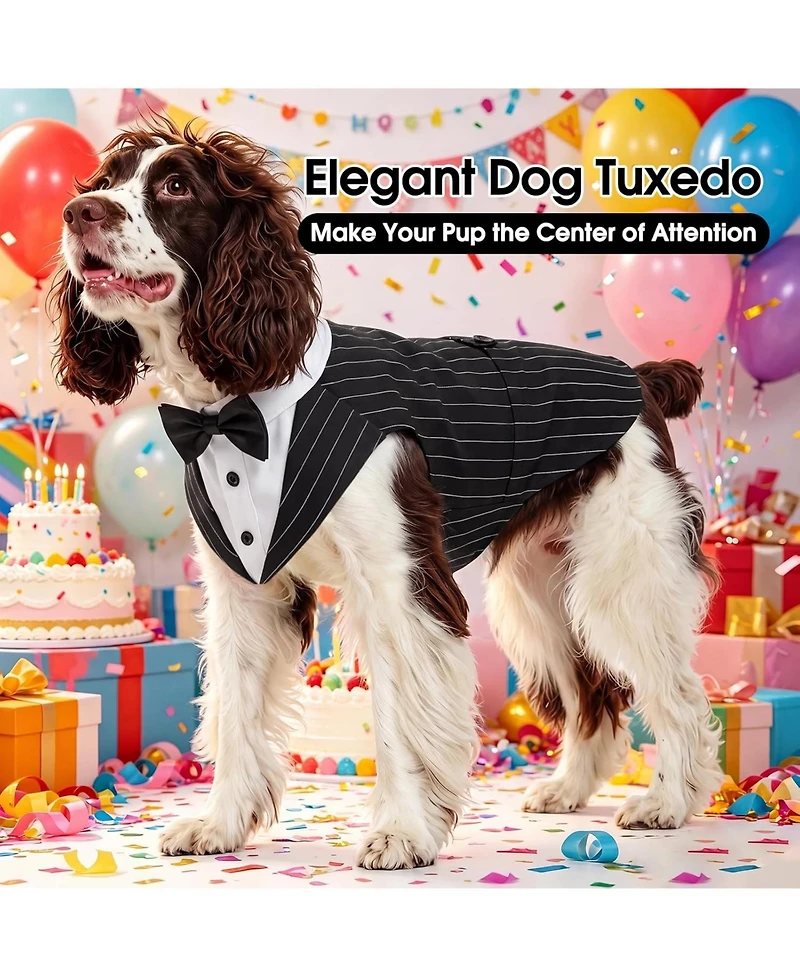 Formal Tuxedo and Bandana Set with Detachable Bowtie Collar and D-Ring for Dogs