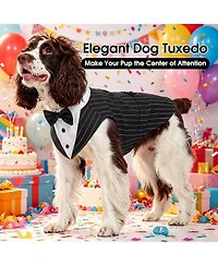 Formal Tuxedo and Bandana Set with Detachable Bowtie Collar and D-Ring for Dogs