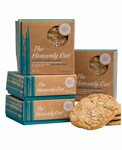 Salt of the Earth Bakery Fresh Baked Oatmeal Chocolate Chip Cookies Gourmet Boxes, 16-Piece