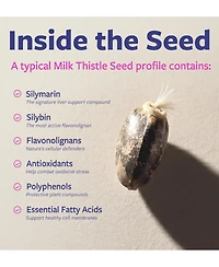 Pure Co Milk Thistle Extract Capsules, 30:1 Extract with 80 Percentage Silymarin, 300 Milligram, 120 Capsules
