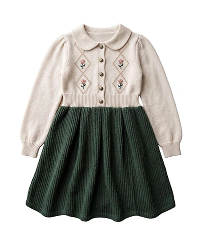 Hope & Henry Toddler Girls and Girls'(2T-5T)Organic Button Front Collared Sweater Dress