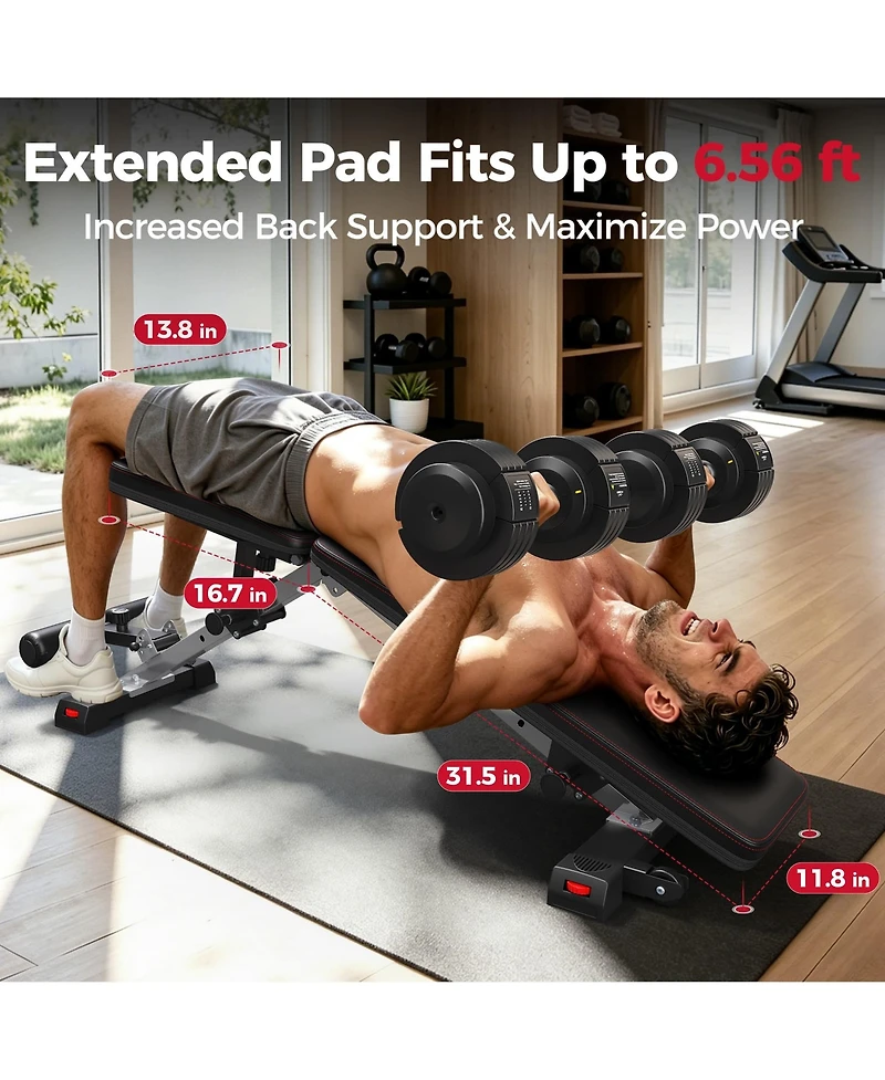 Fed Fitness Flybird WB14 Foldable Weight Bench, 1000 Lbs Heavy Duty Adjustable Workout Bench for Home Gym