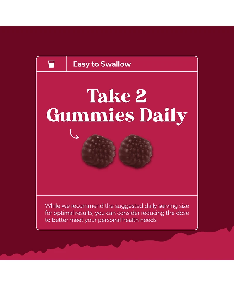 Nature's Craft Elderberry Gummies with Vitamin C and Zinc | Sambucus Elderberry Supplement | 90 Count