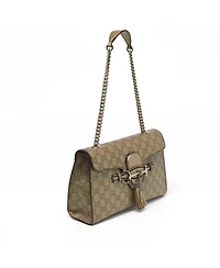 Pre-Owned Gucci Women's Emily Guccissima Leather Chain Shoulder Bag