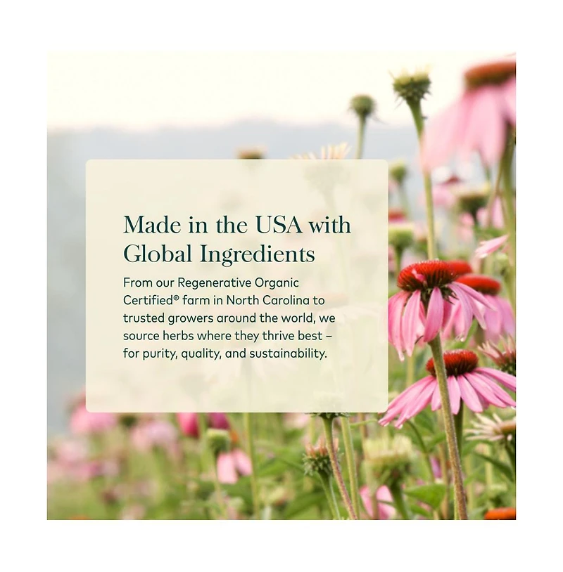 Gaia Herbs Cranberry Concentrate - Helps Maintain Urinary Tract Health - Made With Organic Cranberry Fruit Juice Extract in Convenient Capsules