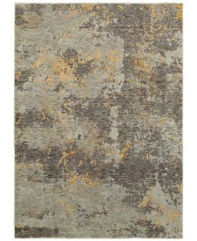Oriental Weavers Evolution Cupric Area Rugs