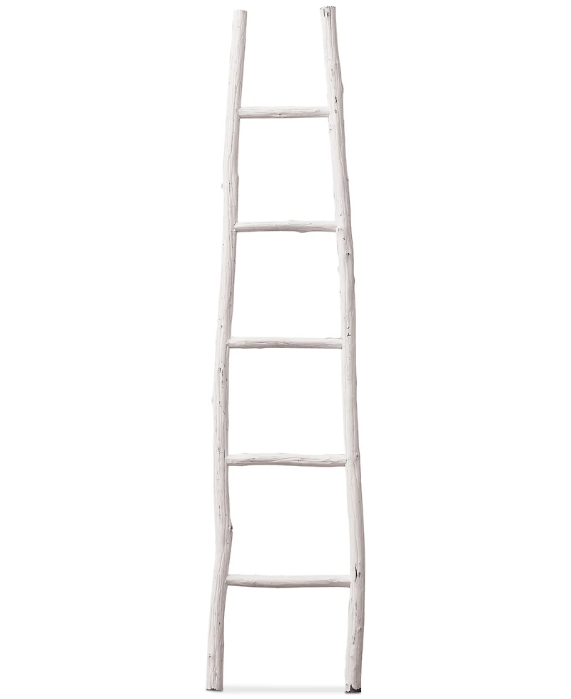 Decorative Painted Wood Ladder
