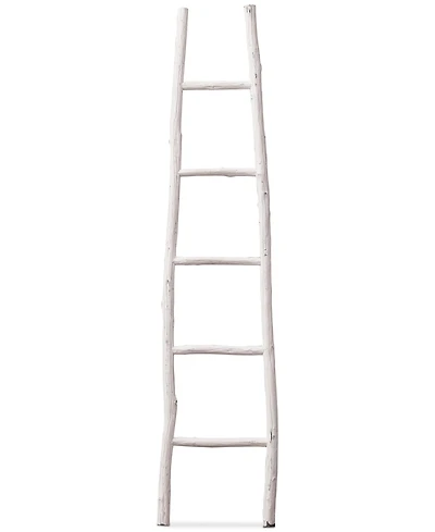 Decorative Painted Wood Ladder