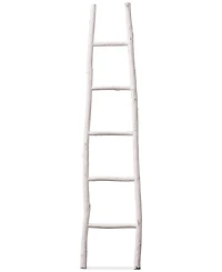 Decorative Painted Wood Ladder