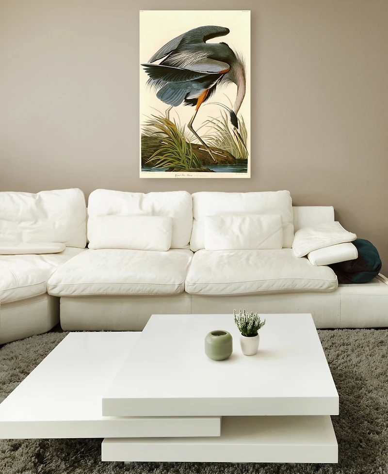 John James Audubon 'Great Blue Heron' Canvas Art