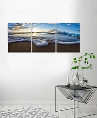 Ready2HangArt 'Sea Star' 3-Pc. Canvas Art Print Set