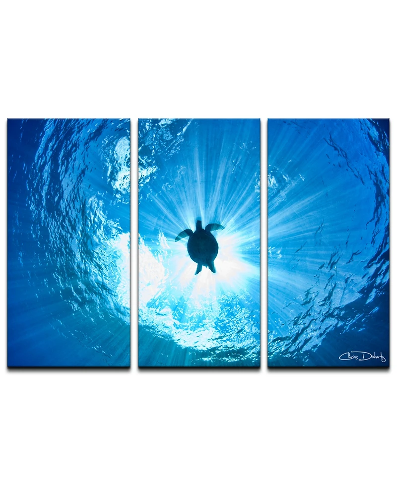 Ready2HangArt 'Sea Turtle' 3-Pc. Canvas Art Print Set